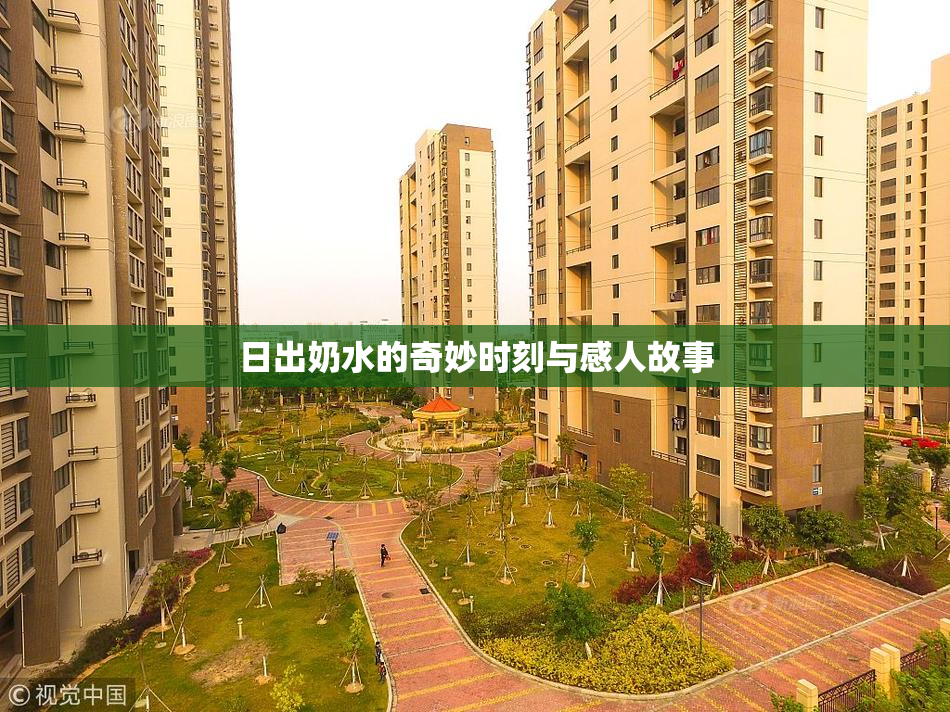 日出奶水的奇妙时刻与感人故事
