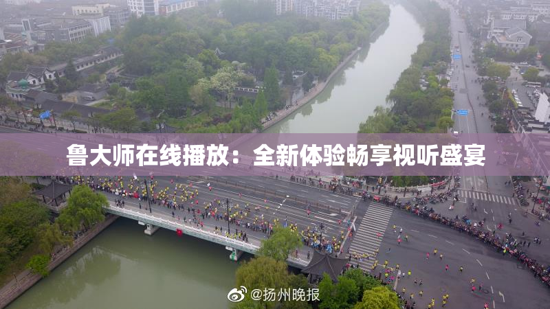 鲁大师在线播放：全新体验畅享视听盛宴