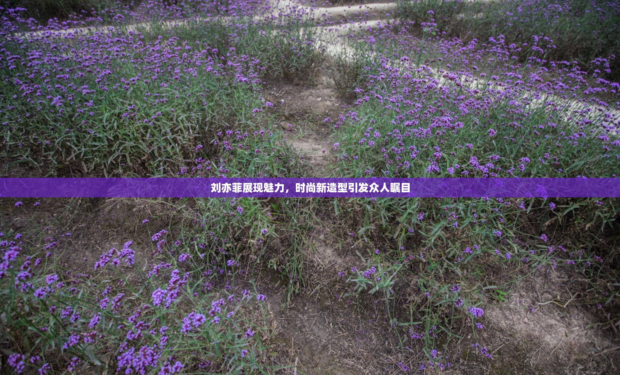 刘亦菲展现魅力，时尚新造型引发众人瞩目