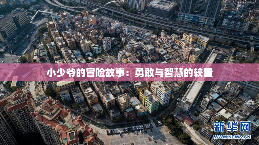 小少爷的冒险故事：勇敢与智慧的较量
