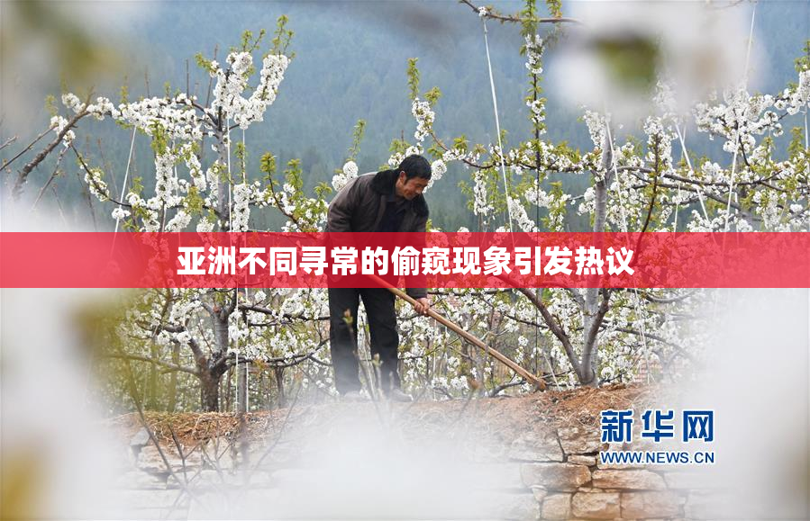 亚洲不同寻常的偷窥现象引发热议