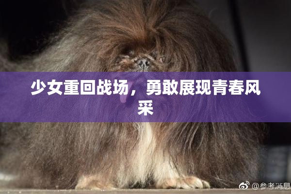 少女重回战场，勇敢展现青春风采