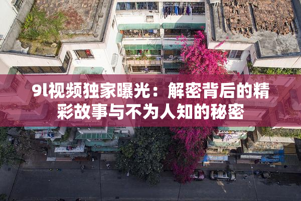 9l视频独家曝光：解密背后的精彩故事与不为人知的秘密