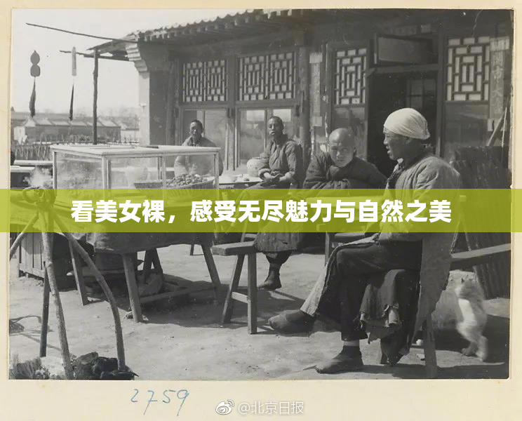 看美女裸，感受无尽魅力与自然之美