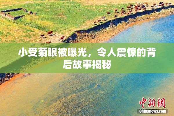 小受菊眼被曝光，令人震惊的背后故事揭秘