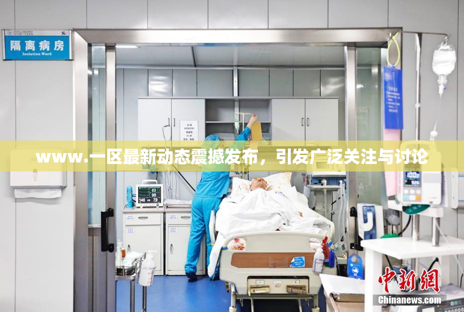 www.一区最新动态震撼发布，引发广泛关注与讨论