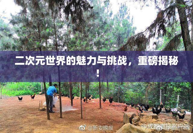 二次元世界的魅力与挑战，重磅揭秘！