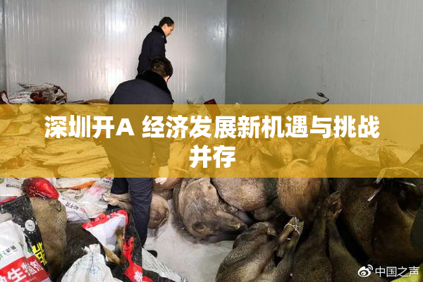 深圳开A 经济发展新机遇与挑战并存