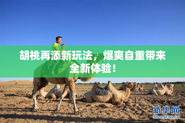 胡桃再添新玩法，爆爽自重带来全新体验！