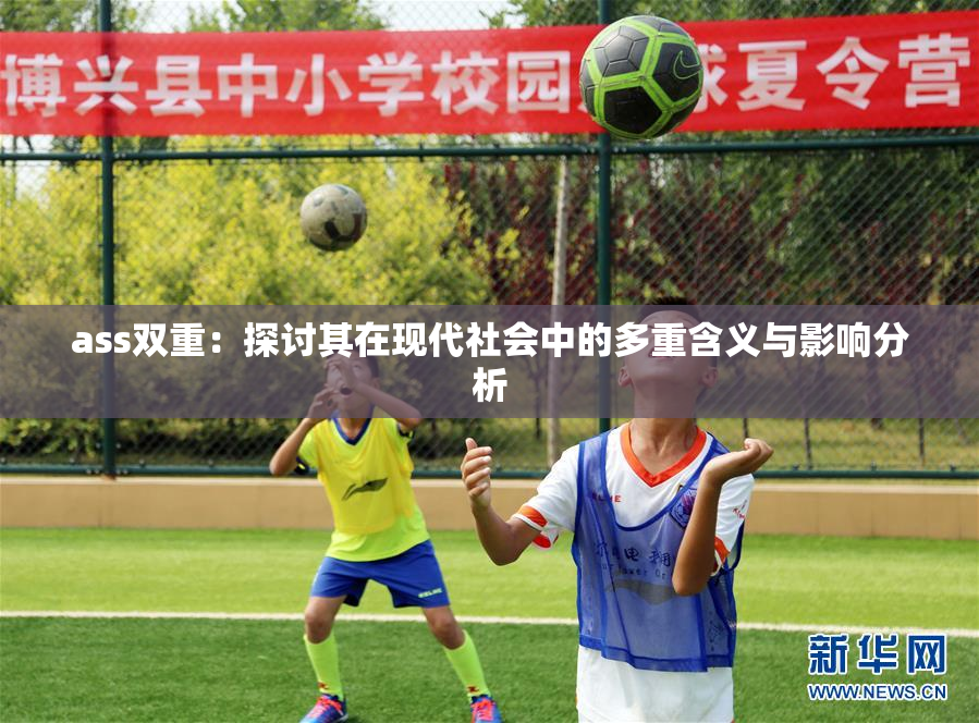 ass双重：探讨其在现代社会中的多重含义与影响分析