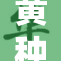 黄种人之间的友谊与文化交流日益加深