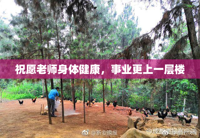 祝愿老师身体健康，事业更上一层楼