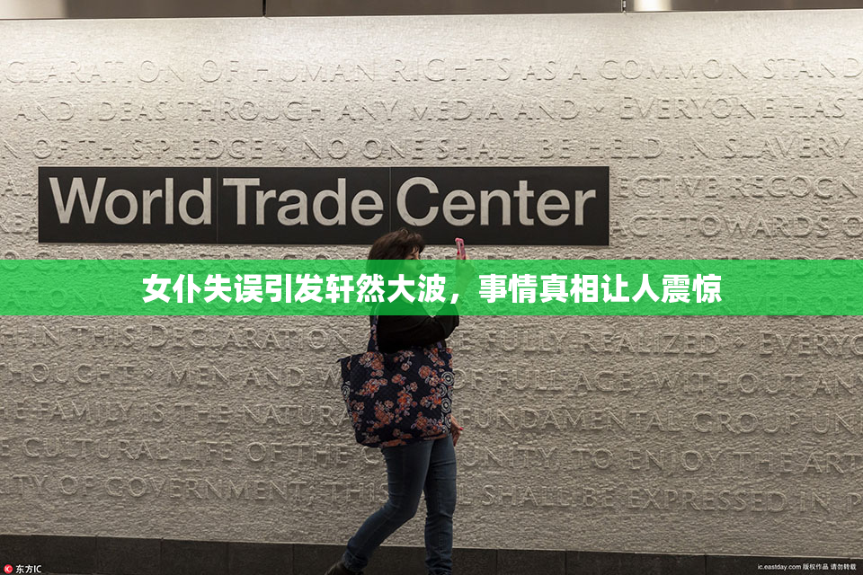 女仆失误引发轩然大波，事情真相让人震惊