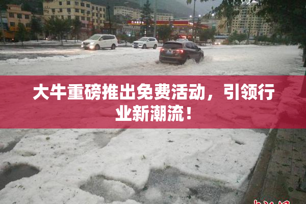 大牛重磅推出免费活动，引领行业新潮流！