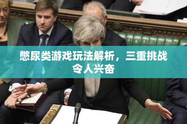 憋尿类游戏玩法解析，三重挑战令人兴奋