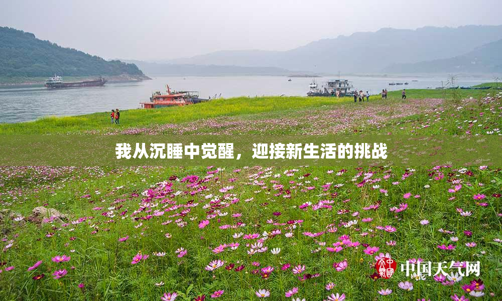 我从沉睡中觉醒，迎接新生活的挑战
