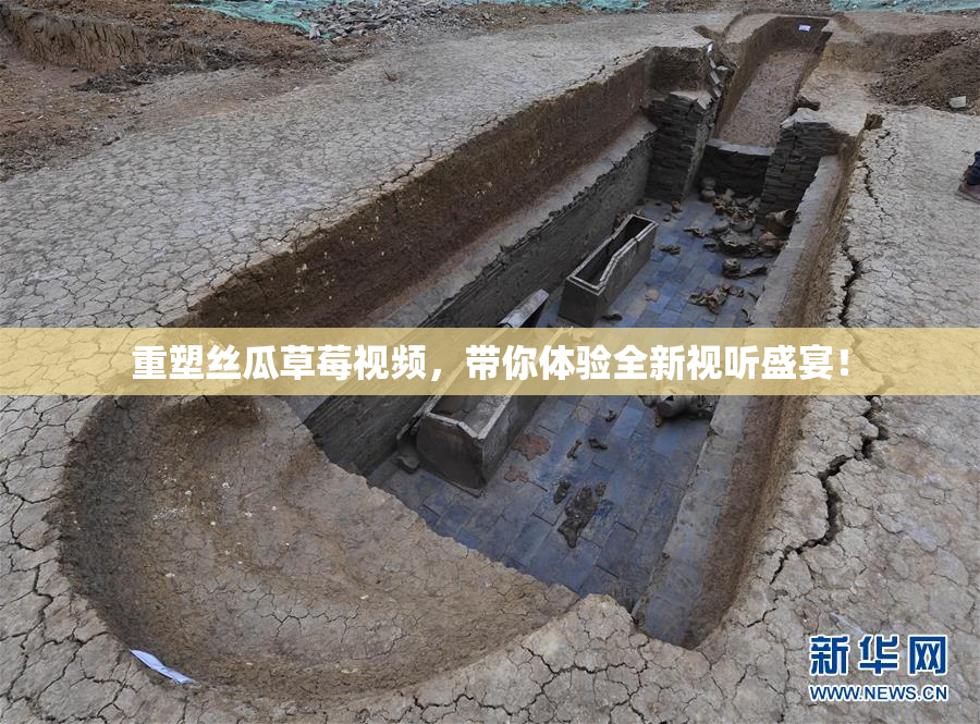 重塑丝瓜草莓视频，带你体验全新视听盛宴！