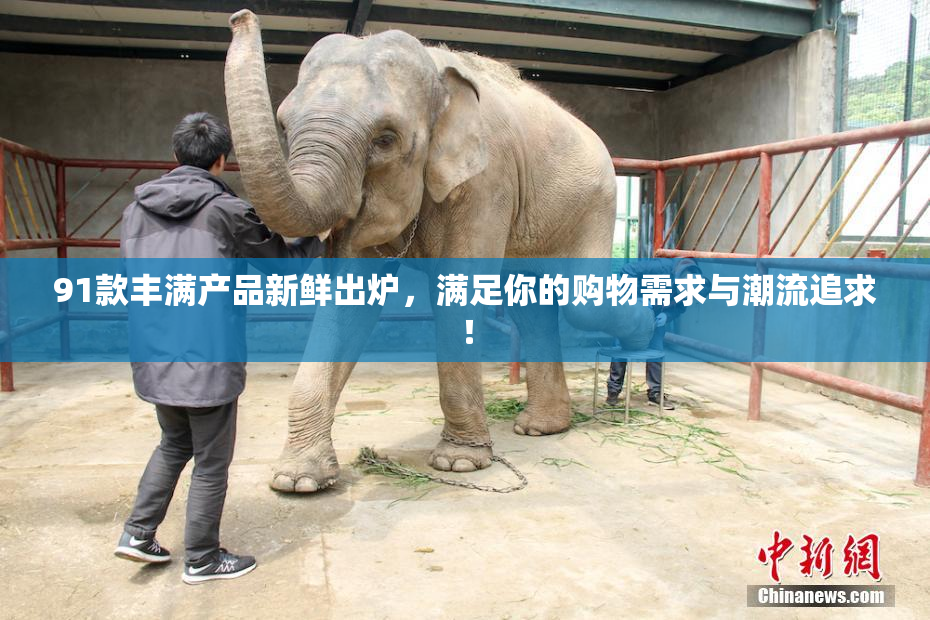 91款丰满产品新鲜出炉，满足你的购物需求与潮流追求！