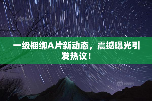 一级捆绑A片新动态，震撼曝光引发热议！