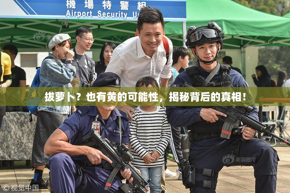 拔萝卜？也有黄的可能性，揭秘背后的真相！