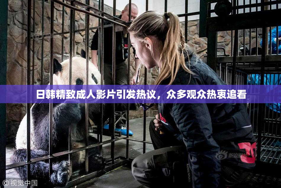 日韩精致成人影片引发热议，众多观众热衷追看