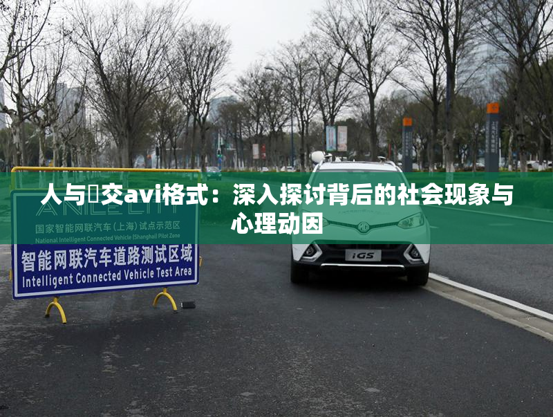 人与嘼交avi格式：深入探讨背后的社会现象与心理动因