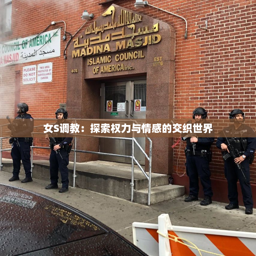女S调教：探索权力与情感的交织世界