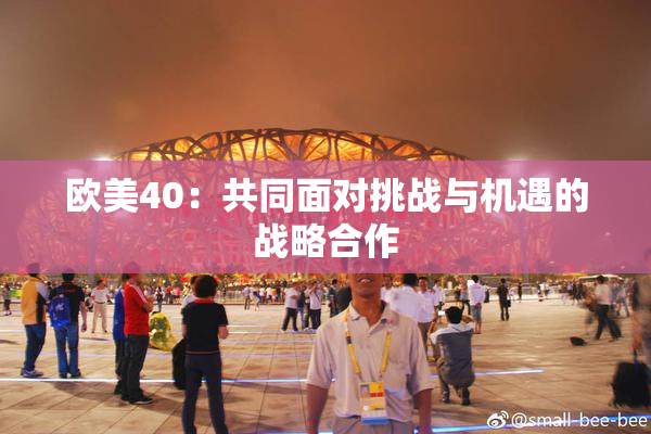 欧美40：共同面对挑战与机遇的战略合作