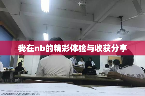 我在nb的精彩体验与收获分享