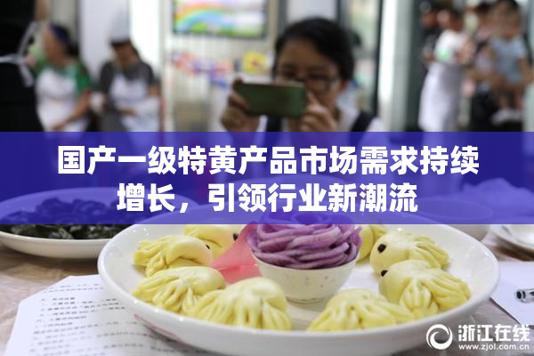 国产一级特黄产品市场需求持续增长，引领行业新潮流