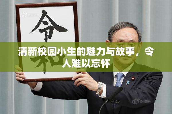 清新校园小生的魅力与故事，令人难以忘怀