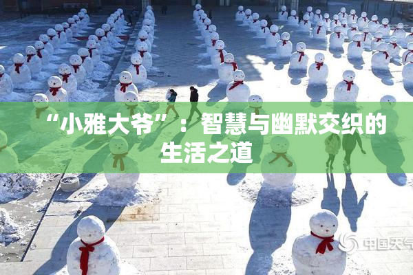 “小雅大爷”：智慧与幽默交织的生活之道