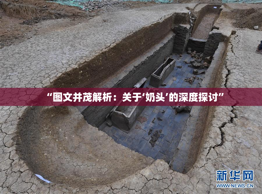 “图文并茂解析：关于‘奶头’的深度探讨”