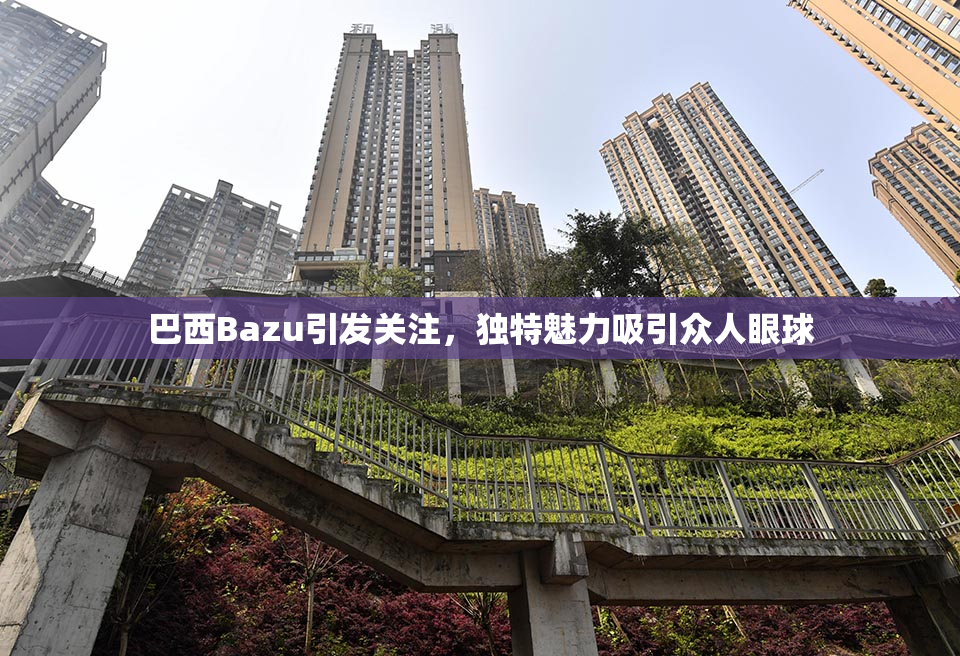 巴西Bazu引发关注，独特魅力吸引众人眼球