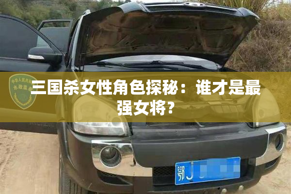 三国杀女性角色探秘：谁才是最强女将？