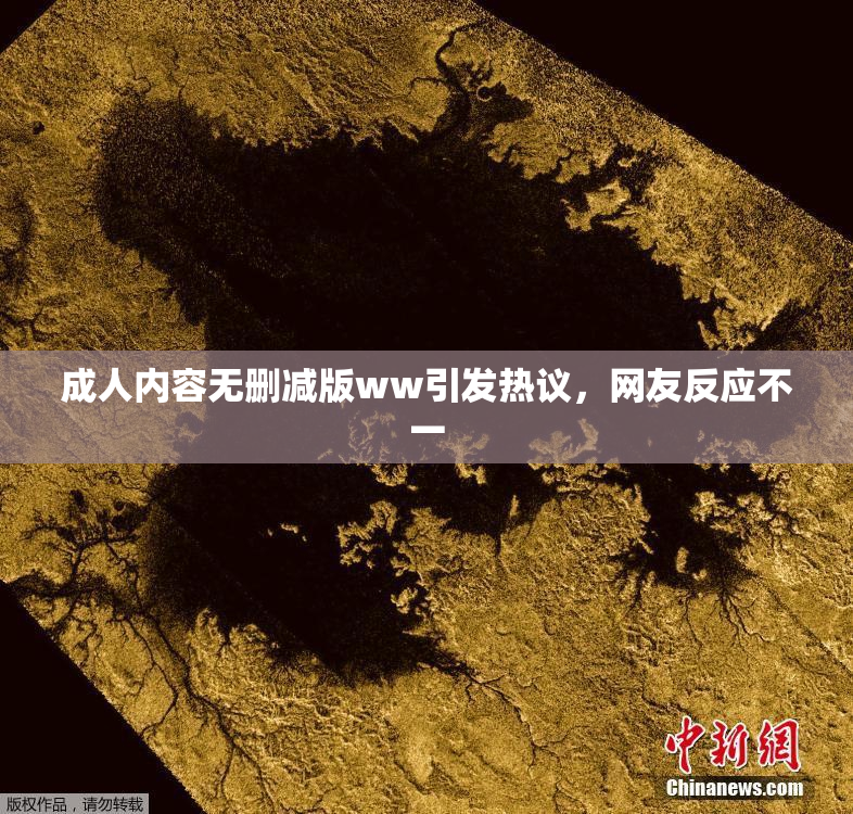 成人内容无删减版ww引发热议，网友反应不一