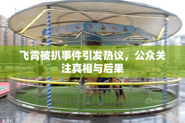 飞霄被扒事件引发热议，公众关注真相与后果