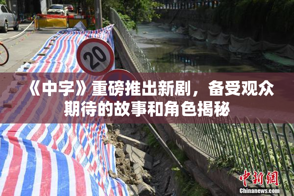 《中字》重磅推出新剧，备受观众期待的故事和角色揭秘