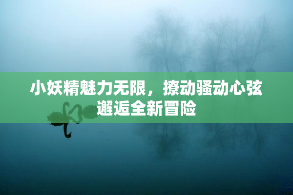 小妖精魅力无限，撩动骚动心弦邂逅全新冒险