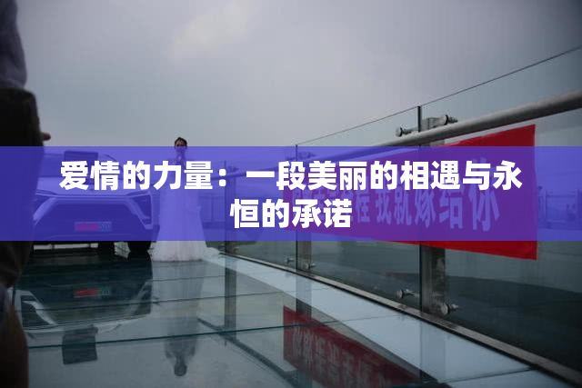 爱情的力量：一段美丽的相遇与永恒的承诺