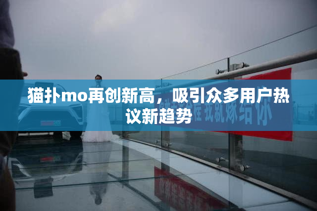 猫扑mo再创新高，吸引众多用户热议新趋势