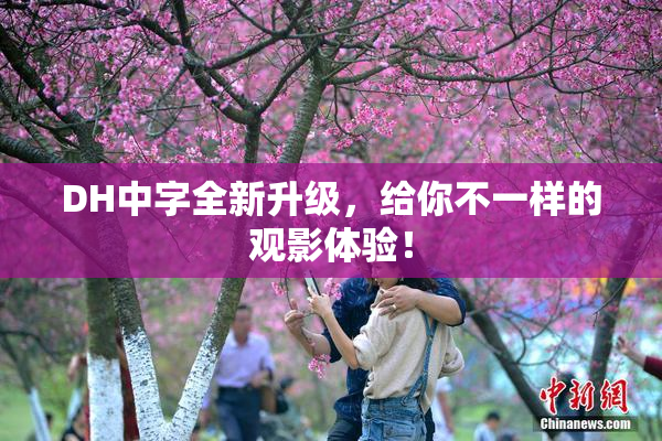 DH中字全新升级，给你不一样的观影体验！