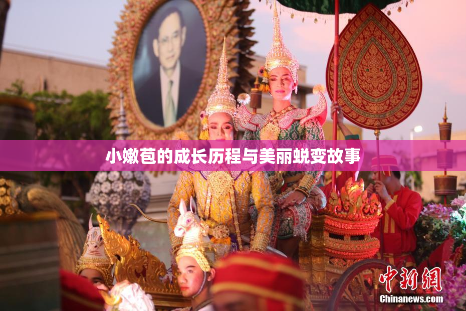 小嫩苞的成长历程与美丽蜕变故事