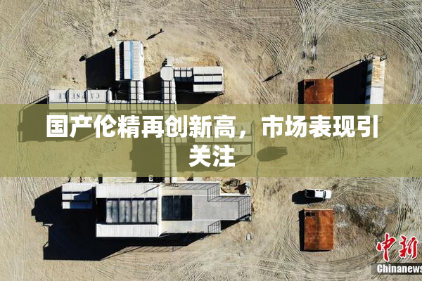 国产伦精再创新高，市场表现引关注