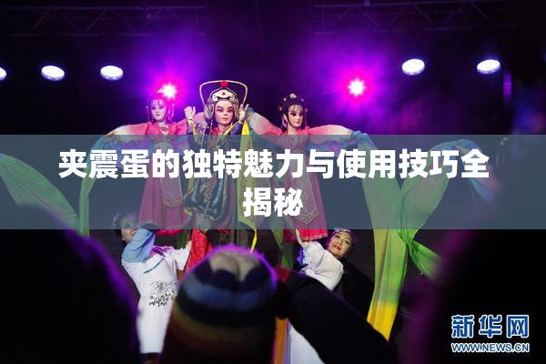 夹震蛋的独特魅力与使用技巧全揭秘