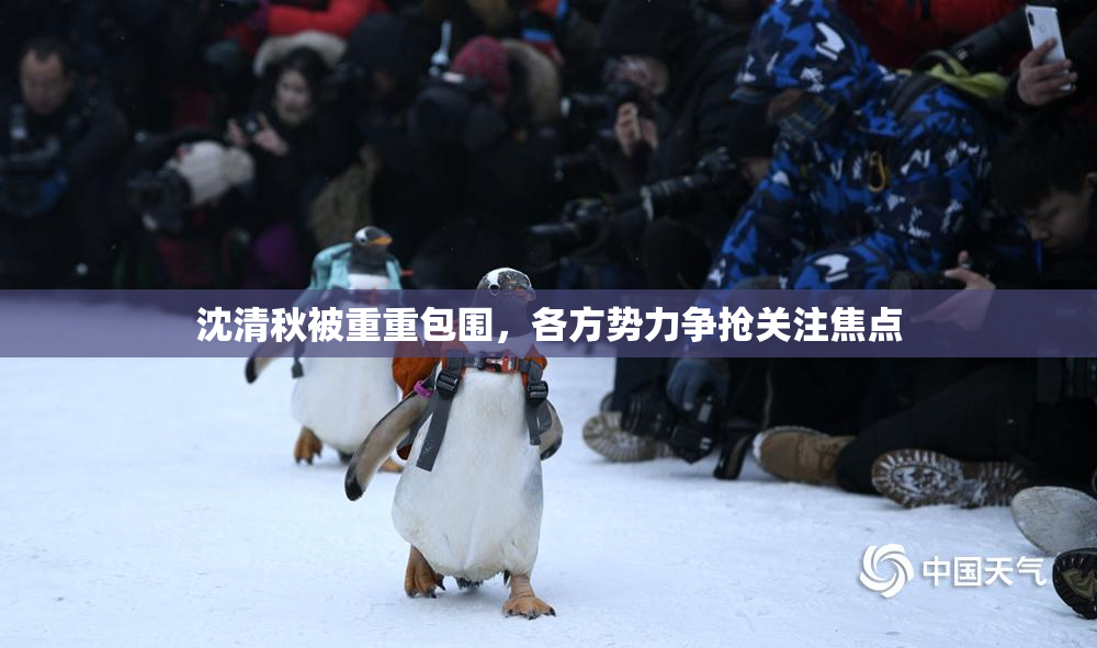 沈清秋被重重包围，各方势力争抢关注焦点