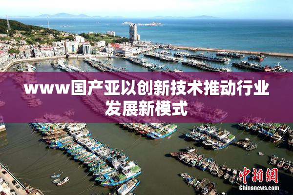 www国产亚以创新技术推动行业发展新模式