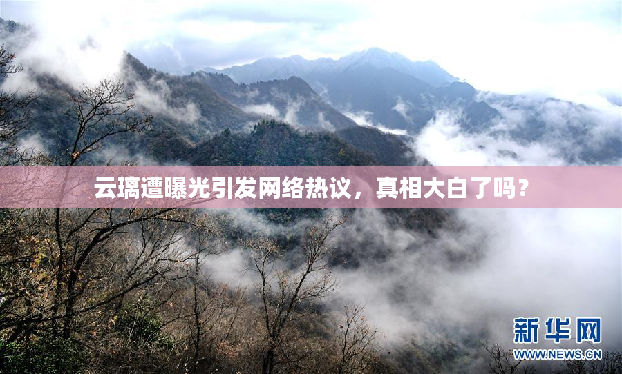 云璃遭曝光引发网络热议，真相大白了吗？