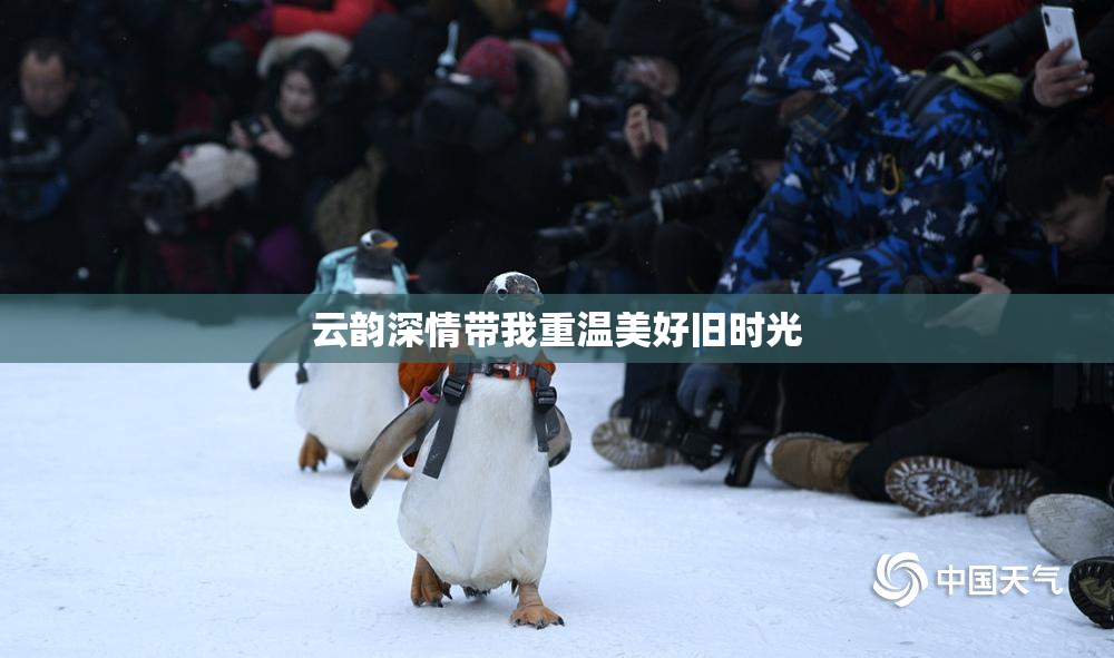 云韵深情带我重温美好旧时光