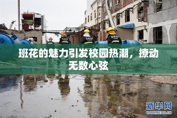 班花的魅力引发校园热潮，撩动无数心弦